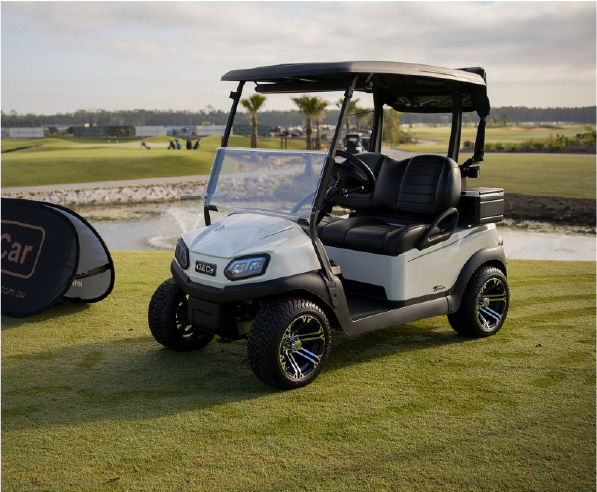 ACDelco golf cart batteries